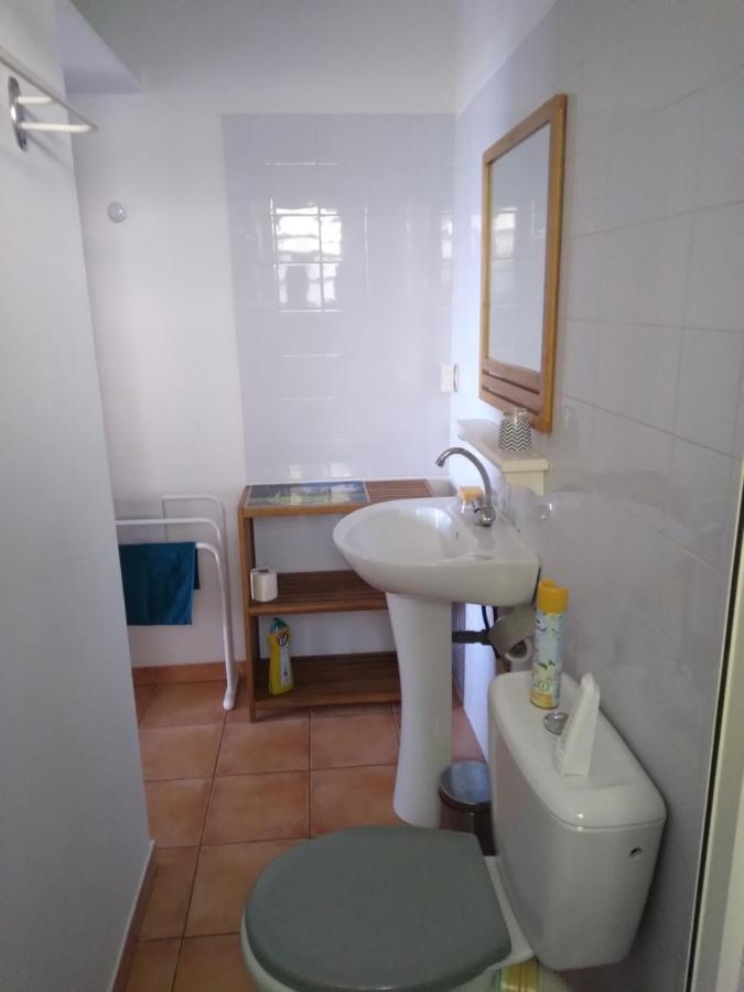 Studio Aux Avirons Pour 2 Personnes, Avec Piscine Les Avirons Zewnętrze zdjęcie